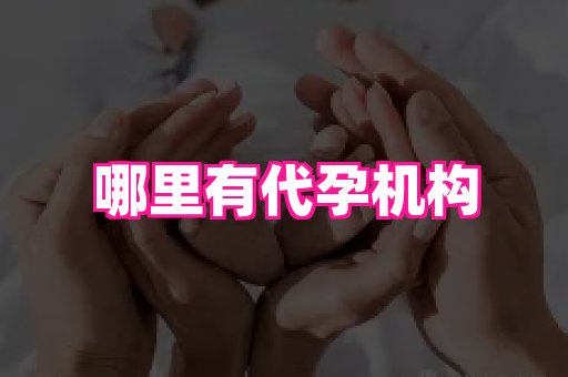 长春助孕网站 2
